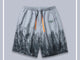 Mountain Contrast Printed Japanese Shorts - Medium