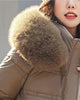 Close-up of the stand collar and the fluffy khaki hood trim on the coffee brown puffer coat